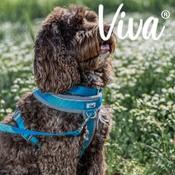 Ancol Viva Padded Harness Blue