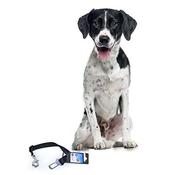 Short Safety Lead 40-70/2cm black