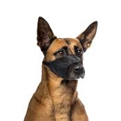 Dog muzzle nylon 62-90cm image