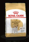 Royal Canin Dog Jack Russell 1.5kg