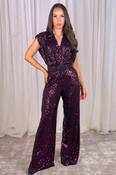 Eva Sequin Jumpsuit In Plum image