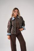 Daisy Blue Spotted Jacket In Chocolate image