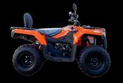 Loncin | XWOLF 300 PRO / XWOLF 300 FO