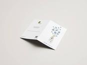 Illustrated Cards - Forget Me Not - Waterford Hospice