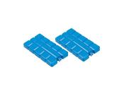 ICE BRICK 200ML 2 PACK