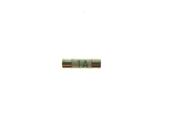 POWERMASTER 1AMP SHAVER ADAPTOR FUSE