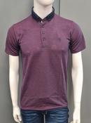Swade Polo Shirt - 508 Bugundy image