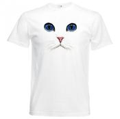 Cats Eyes image