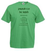 Proud to be Irish 2 image
