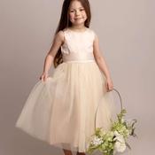 Hilary Champagne Flower Girl Dress image