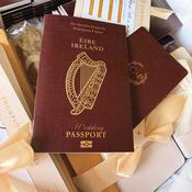 Passport Wedding Invitations image