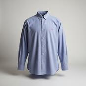 Vintage Ralph Lauren Shirt Size XXL Blue Smart Office preppy wear in 2XL|L36W23|SKU 5342 image