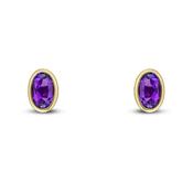 9k Yellow Gold Amethyst Rubover Stud Earrings