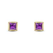 9k Yellow Gold Square Amethyst Rubover Stud Earrings