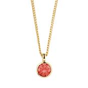 Ette Gold Plated Necklace image