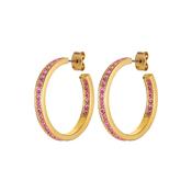 Justina Gold Toned Brass Pink Crystal Large Hoops image