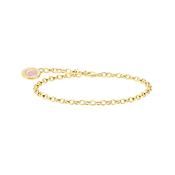 Member Gold Plated Charm Carrier Small Link Bracelet 17 cm