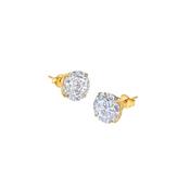 Eternal Four Prong Yellow Gold Stud Earrings