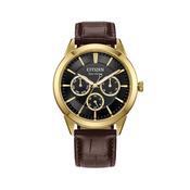 Rolan 40mm, Black Dial, Gold Tone Stainless Steel Case, Brown Leather Strap, Eco-Drive Watch