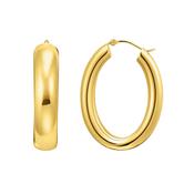 Chunky Gold Plated Hoop Earrings image