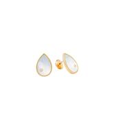 9K Yellow Gold Paire de Puces Poire Nacre or Jaune Earrings image