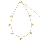 Gold Plated Ammonite Shell Brass Necklace image