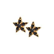 Cana Black Crystal Gold Tone Star Stud Earrings image