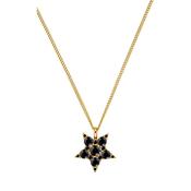 Lyra Black Crystal Star Pendant Gold Tone Necklace
