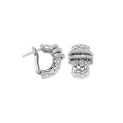 Panorama 18k White Gold Diamond Earrings image