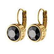 Louise Gold Toned Black Crystal Earrings image