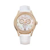 4948R-001 - Complications Diamond Annual Calendar Moon Phase image
