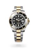 Sea-Dweller image