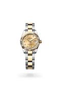 Lady-Datejust image