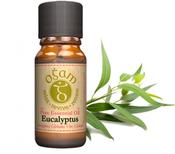 Eucalyptus Essential Oil | Westgate Design image