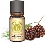 Cedarwood Essential Oil | Westgate Design