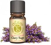 Clay Sage Essential Oil | Westgate Design image