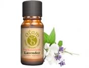 Lavender Essential Oil | Westgate Design image