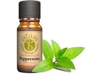 Peppermint Essential Oil | Westgate Design image
