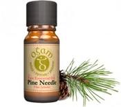 Pine Needle Essential Oil | Westgate Design image