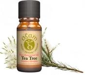 Tea Tree Essential Oil | Westgate Design image