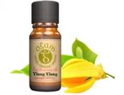 Ylang Ylang Essential Oil | Westgate Design image