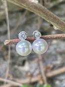 Clip on earrings,Majorica pearl | Westgate Design image