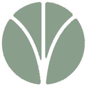 Test Item
