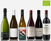 Organic Wine Case