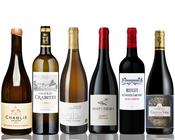 Seasonal Wine Case | Élégance