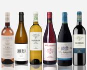 Seasonal Wine Case | Vibrance