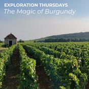 Exploration Thursdays | Thursday 08th October 2026 - The Magic of Burgundy