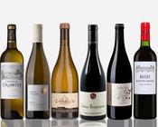 Seasonal Wine Case | Élégance image