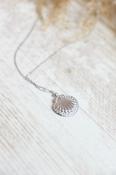 Clam shell necklace (Silver) image