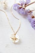 North star and clam shell necklace image